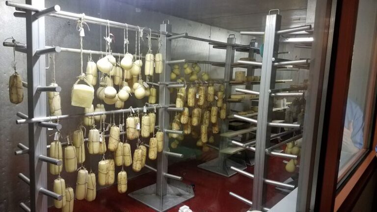 This Pennsylvania Cheese Shop Ages Its Own Wheels in a Century-Old Stone Cellar