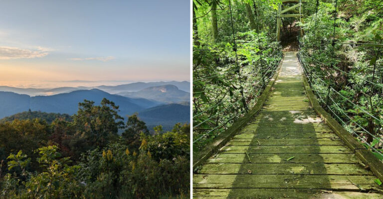 This Short North Carolina Trail Leads To A Hidden Swinging Bridge In The Forest