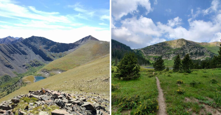 9 Regions In New Mexico Where Tick Encounters May Be More Likely This Summer
