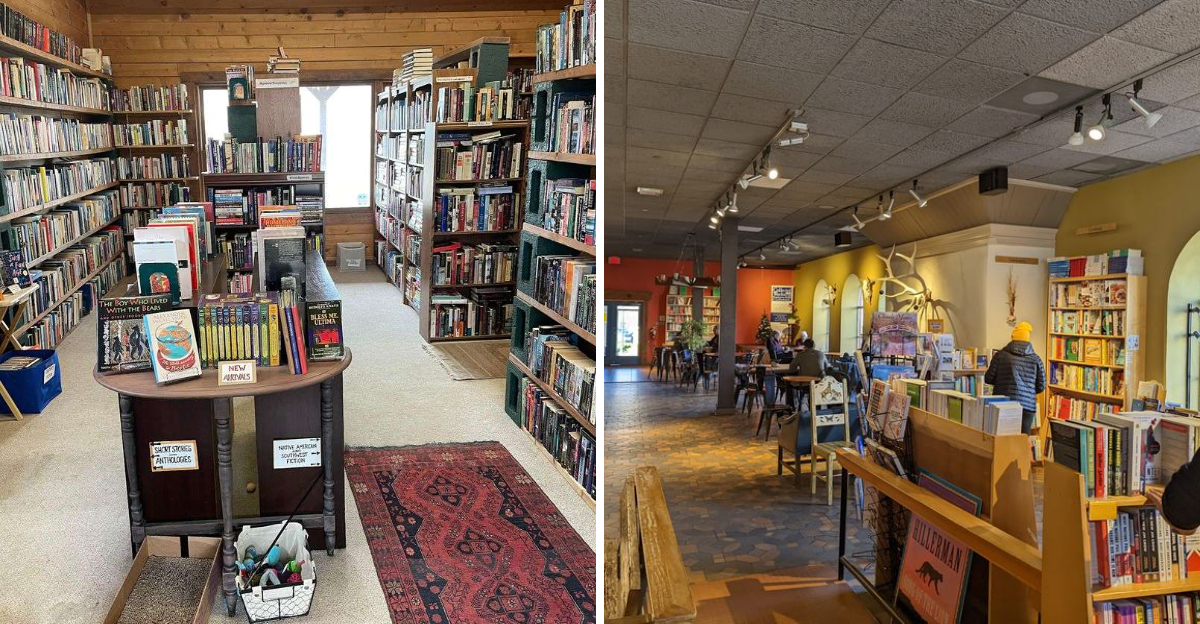 10 Incredible Bookstores In New Mexico Where You Can Lose Yourself For Hours