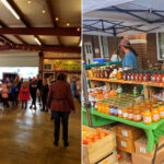 Best Louisiana Country Markets