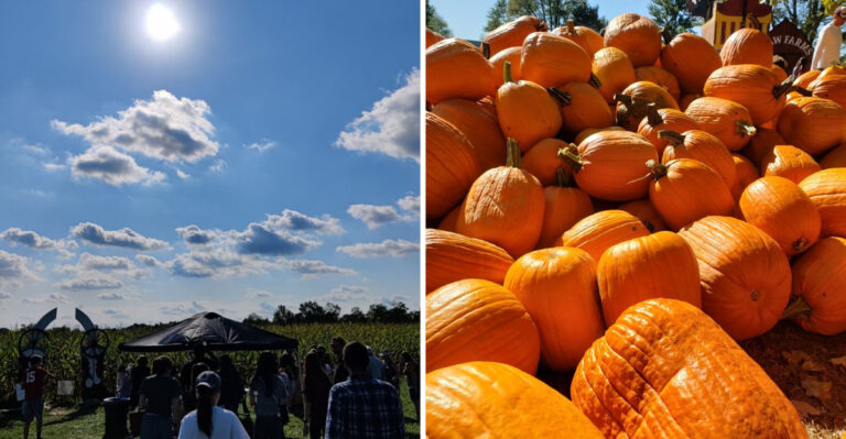 This Massive Ohio Corn Maze Is So Twisty Visitors Keep Coming Back For Another Try