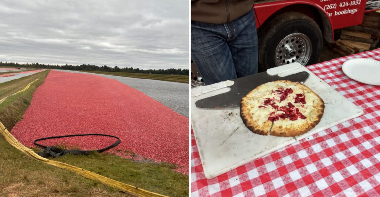 This Wisconsin Cranberry Festival Takes Over A Northwoods Town Every October