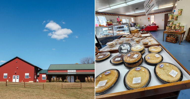 10 Iowa Orchard Bakeries Where Apple Treats Start Showing Up Before Summer Ends