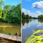 Lake Fausse Pointe State Park