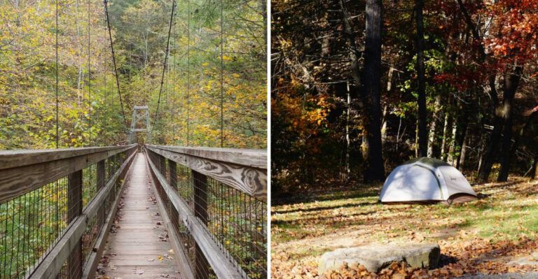 This Two-Mile Virginia Hike Leads To A Swinging Suspension Bridge Deep In The Woods