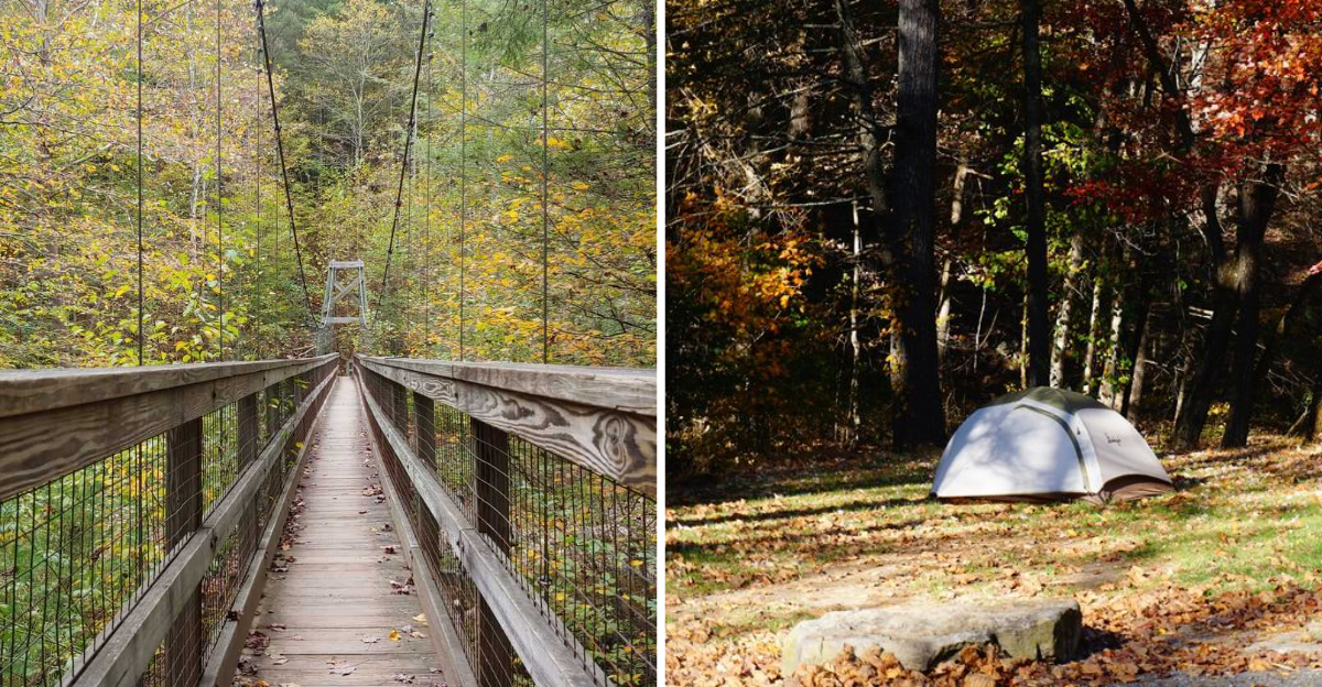 This Two-Mile Virginia Hike Leads To A Swinging Suspension Bridge Deep In The Woods