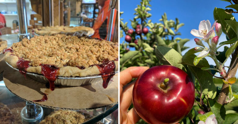 This Michigan Orchard Cafe Has Pie Lovers Counting Down To Summer