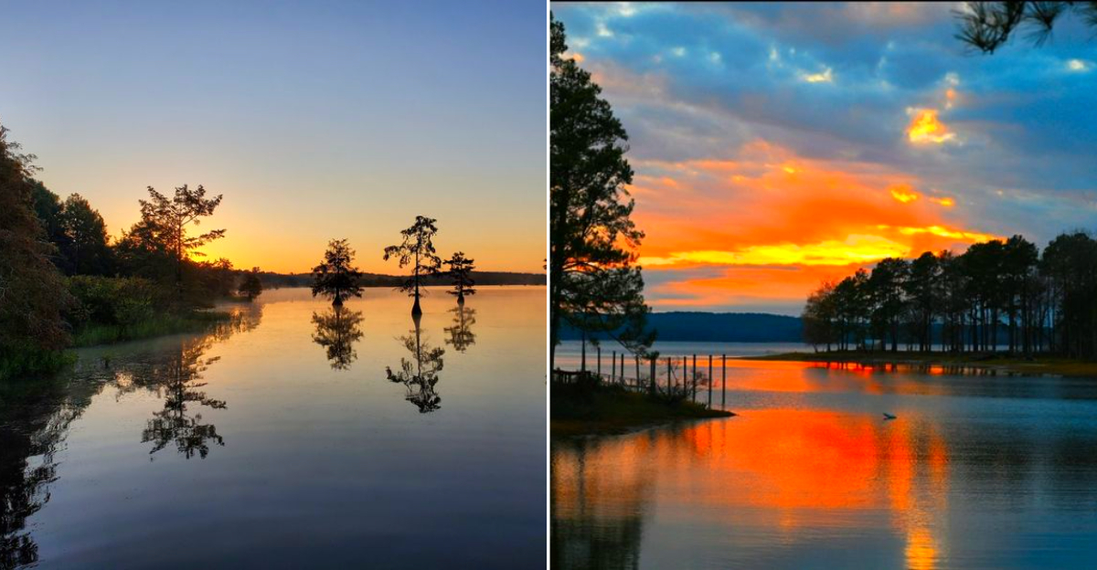 Louisiana Will See A Partial Lunar Eclipse Before August Ends, And These State Parks Offer The Best Viewing