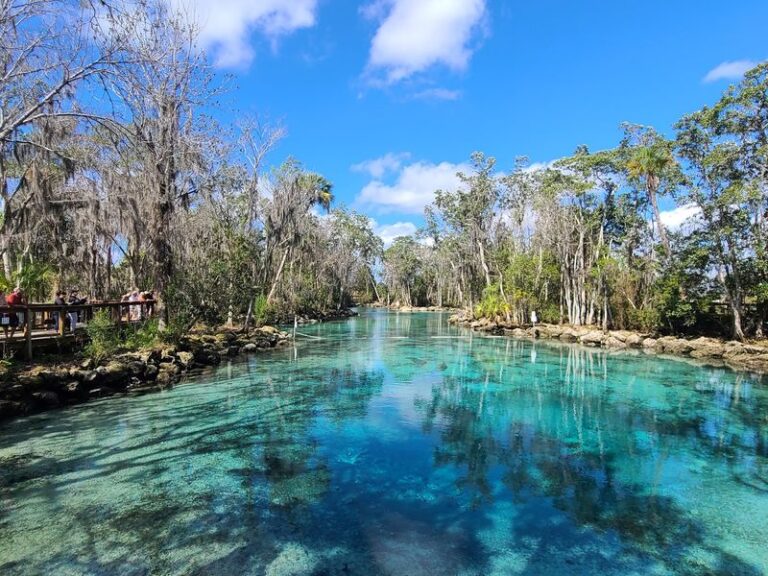 8 Florida Springs Where the Water Stays Crystal Clear and Cool All Year Round
