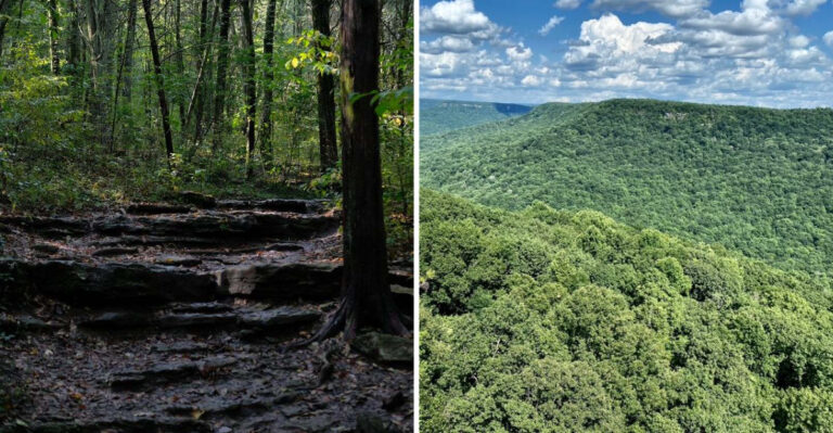 10 Tennessee Regions Where You Are More Likely To Encounter Copperheads And What To Watch For