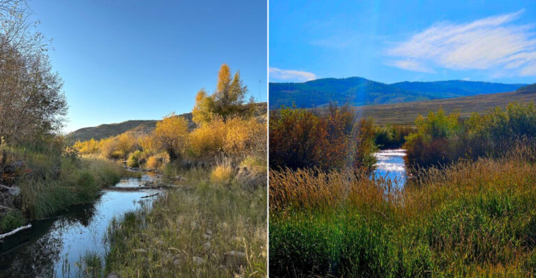 This Under-The-Radar Utah Park Might Be The Best Place To See A Moose In The Wild