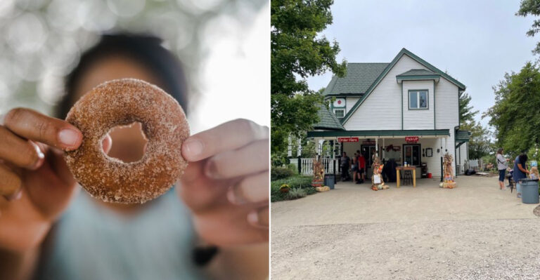 Pick Your Own Apples And Finish The Day With Warm Cider Donuts At This Kansas Orchard