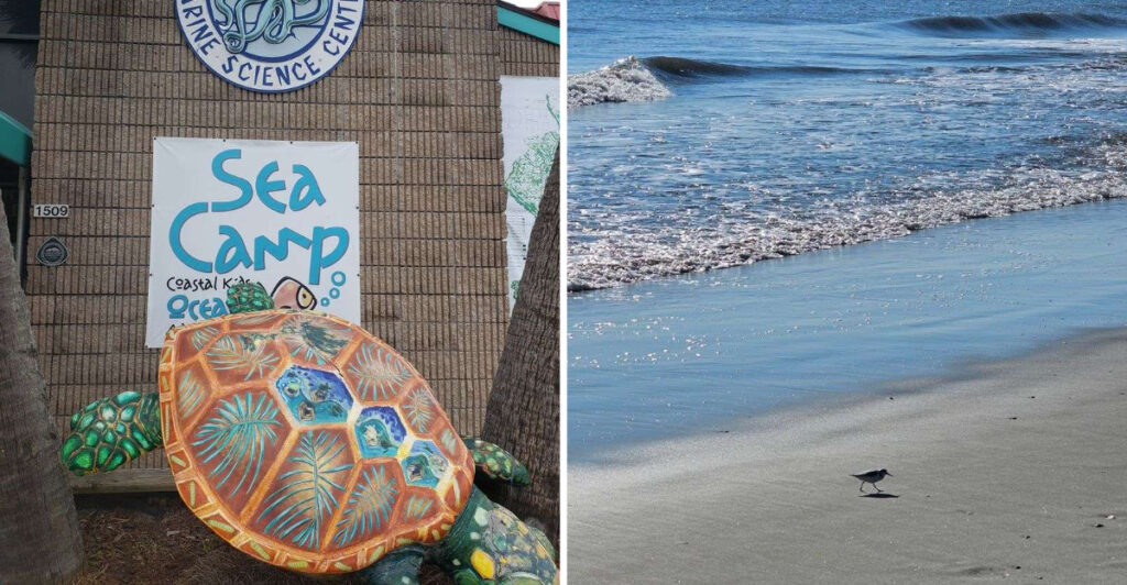 This Georgia Beach Town Is Packed With Summer Crowds Locals Can Hardly Escape