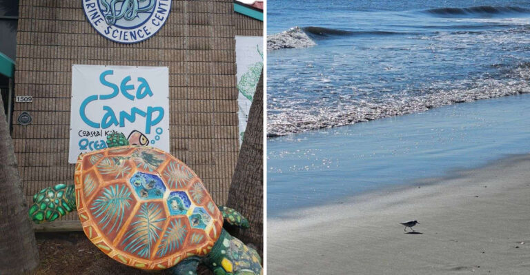 This Georgia Beach Town Is Packed With Summer Crowds Locals Can Hardly Escape