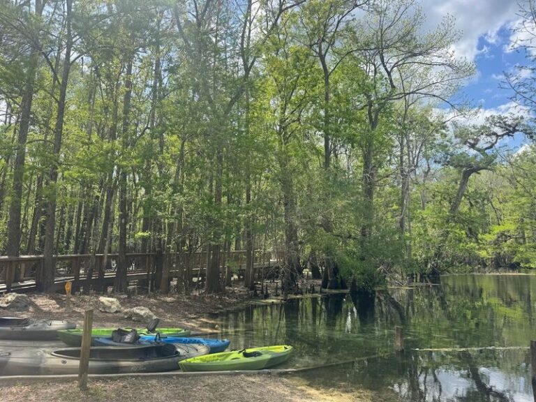 9 Florida State Parks Where You Can Paddle Past Manatees and Camp Right by the Water
