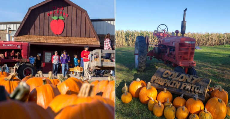 13 Iowa Corn Maze And Farm Adventures Worth Trying In September