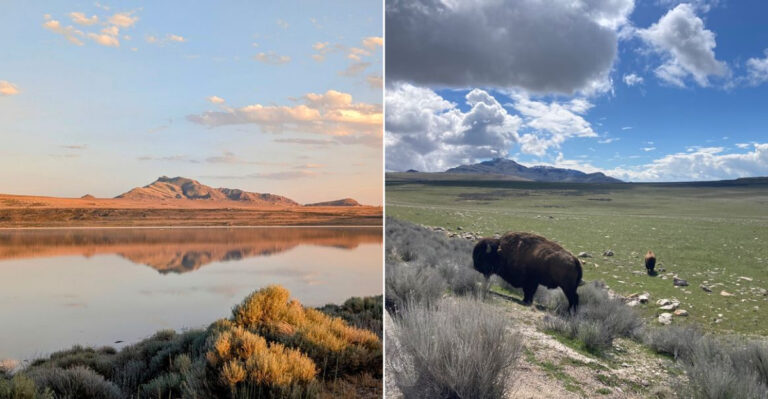 This Immense Utah Prairie Feels Like Walking Through A Waving Ocean Of Grass