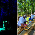 Timber Ridge Adventure Park