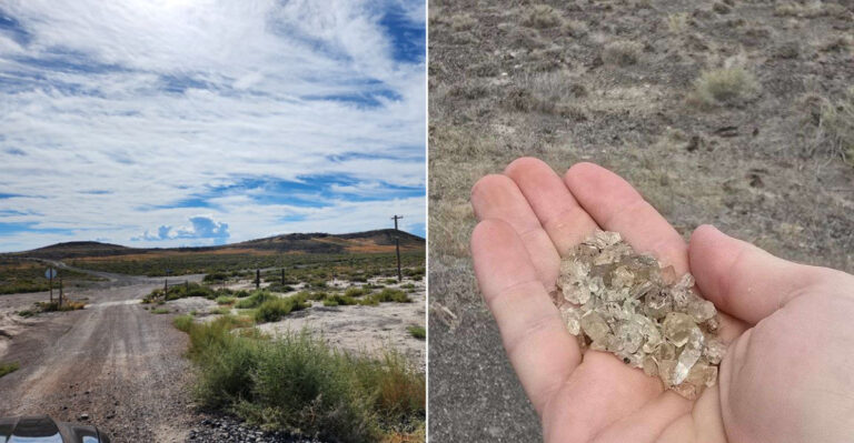 Tiny Golden Crystals Sparkle Across This Published Utah Sunstone Collecting Site