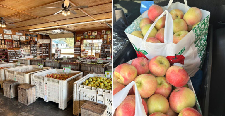 This Virginia Apple Butter Festival Has Been A Fall Tradition For More Than 30 Years