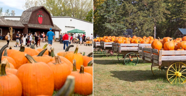 13 Iowa Farm Attractions That Come Alive As Harvest Season Begins