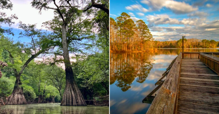 10 Fascinating Louisiana State Parks Most People Have Never Heard Of