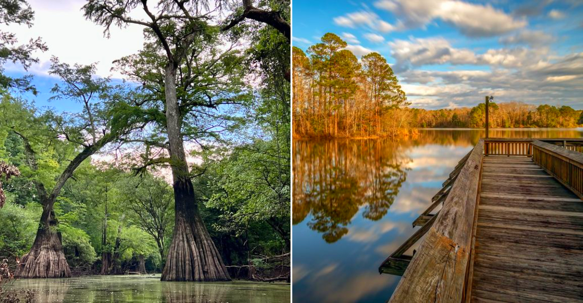 10 Fascinating Louisiana State Parks Most People Have Never Heard Of