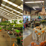 Perino’s Home & Garden Center
