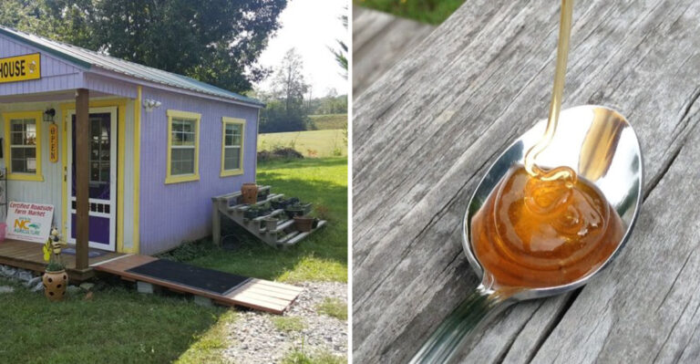 This North Carolina Sourwood Honey Season Is So Short Shoppers Stock Up While They Can