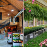 Plant Barn