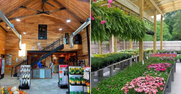 This Louisiana Garden Center Inside A Former Church Turns Plant Shopping Into An Afternoon Escape
