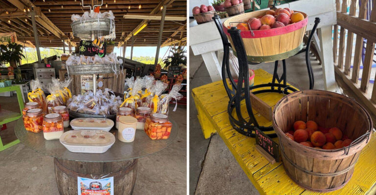 This Georgia Peach Shed Is The Seasonal Stop Peach Lovers Know To Catch Before Summer Ends