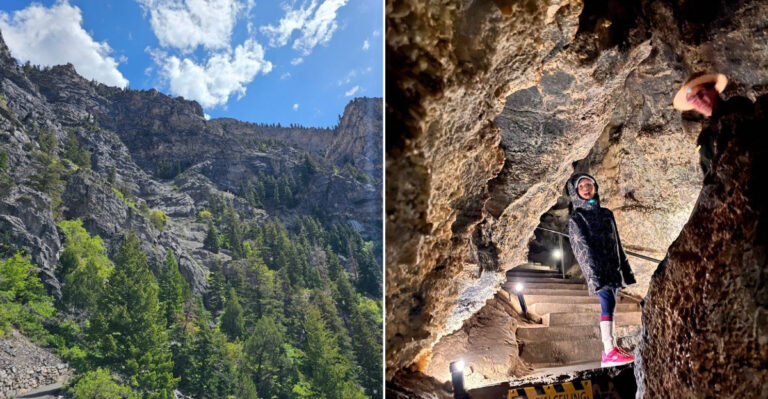 Scientists Keep Finding Ancient Sharks Inside Utah’s Most Famous Cave