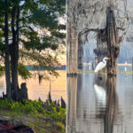 Cheap Louisiana Lake Rentals