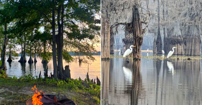 10 Cheap Louisiana Lake Rentals For Your Next Family Trip