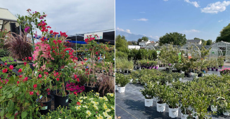 Rows Of Trees, Roses, Shrubs, And Perennials Turn This Utah Nursery In West Jordan Into A Garden Maze