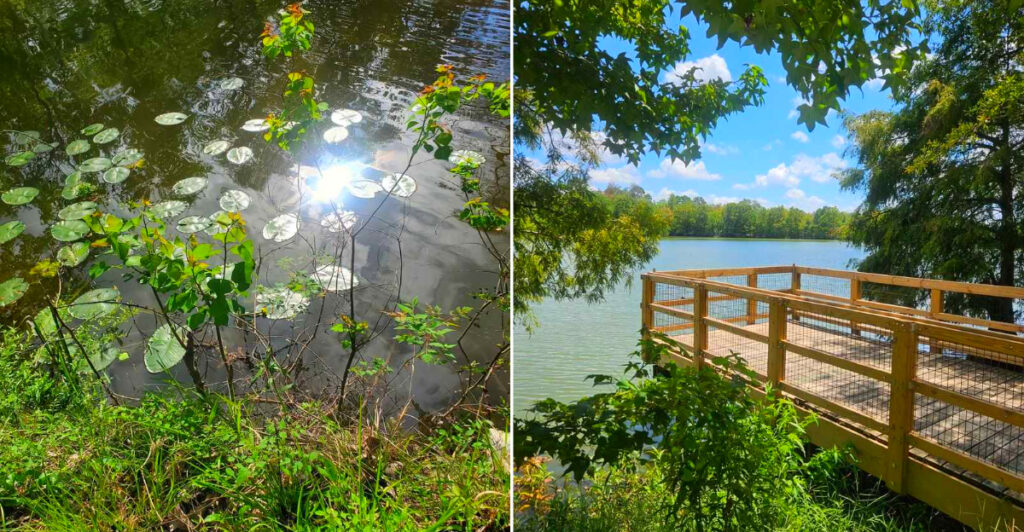 The Jim Schmidt Interpretive Boardwalk