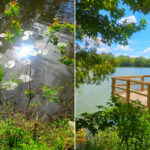 The Jim Schmidt Interpretive Boardwalk