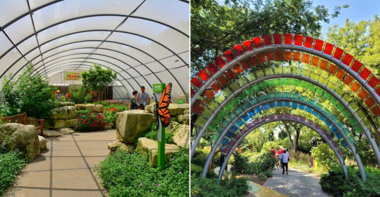 Nearly 400 Butterflies Fly Freely Around You Inside This Seasonal Kansas Butterfly House