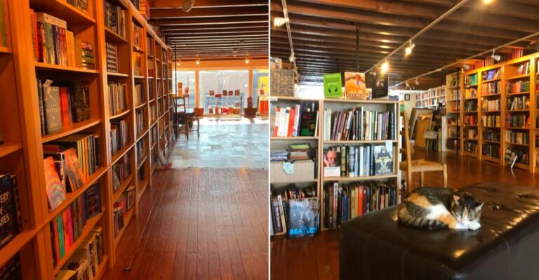 This Charming New Orleans Louisiana Bookstore Has Two Floors Of Books And A Resident Cat