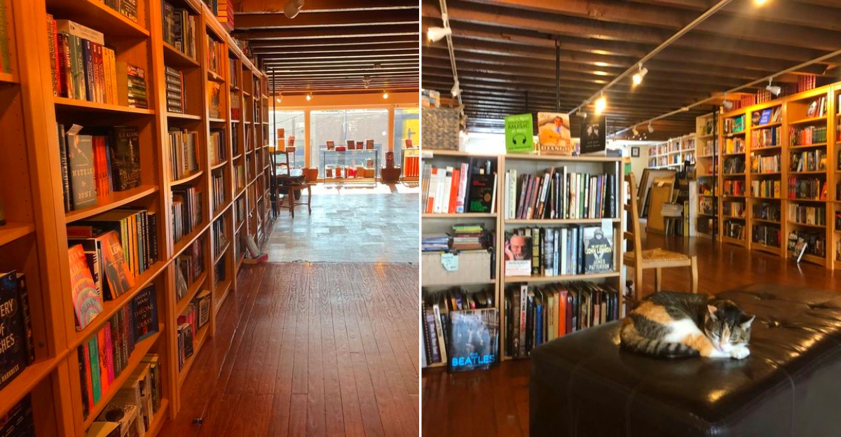 This Charming New Orleans Louisiana Bookstore Has Two Floors Of Books And A Resident Cat