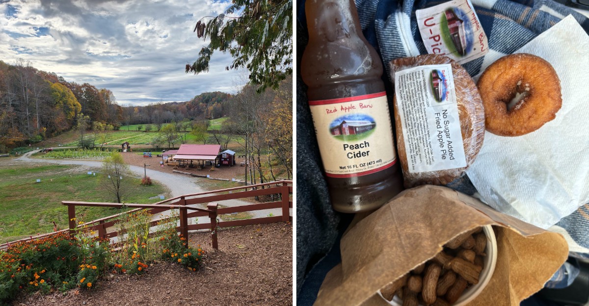 This Georgia Mountain Orchard Comes Alive Every September And Its Fresh Cider Makes The Drive Worth It