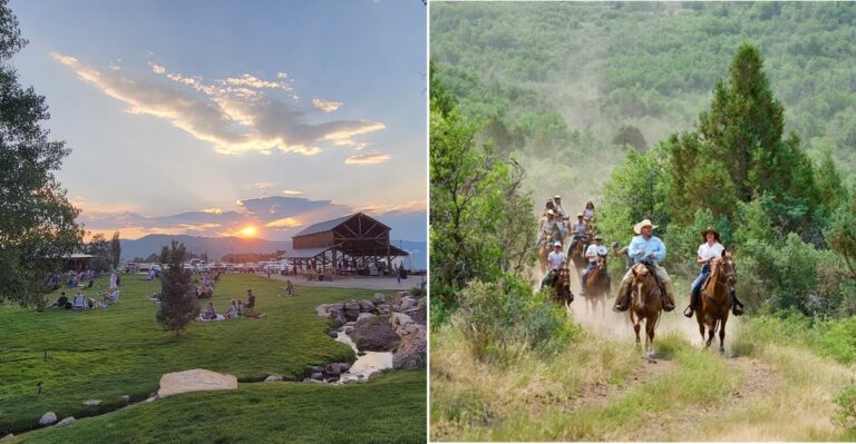Utah Has A Farm With A Clydesdale Just Outside Park City