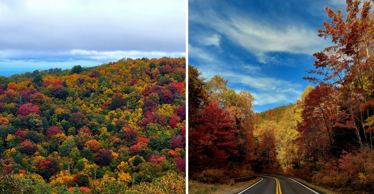 This Tennessee Mountain Town Looks Like A Painting When Fall Foliage Reaches Peak Color