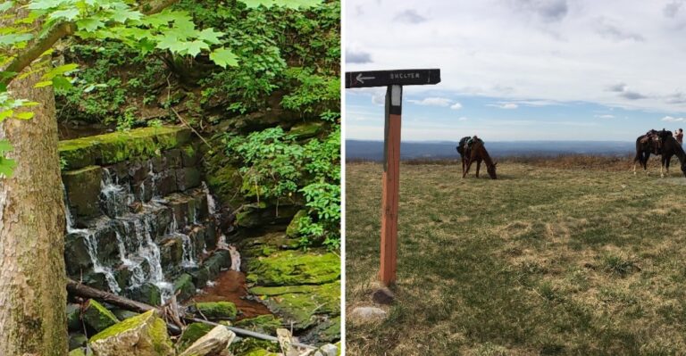 This Virginia Mountain Town Is Surrounded By Hiking Trails Yet Most Travelers Drive Right Past It
