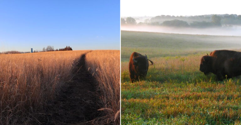 12 Iowa Prairie And Nature Trips That Feel Especially Peaceful In September