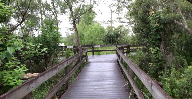 These 4 Easy Hikes In Louisiana Are So Beautiful, You’ll Be Dreaming About Them For Days