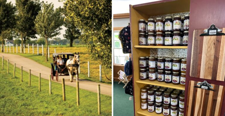 This Indiana County Sits In The State’s Largest Amish Settlement And Has Over 100 Amish Cottage Shops