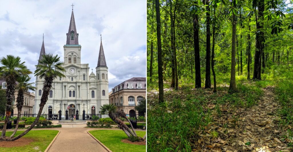 The beauty of Louisiana